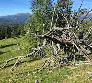 Wandern Hochrindl/Sirnitz