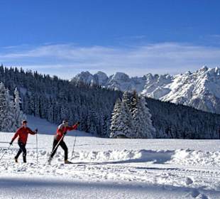 Langläufer Serles, Stubai