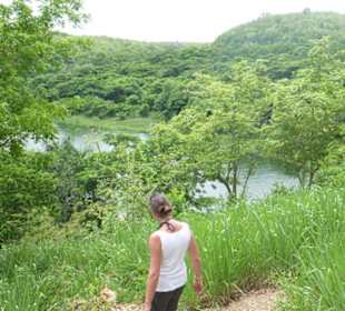 Blick auf den Fluß von oben
