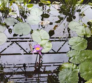 Schokoladenmuseum Köln
