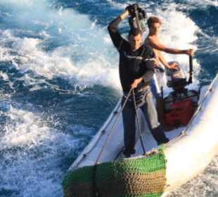 Klappe...und...aktion...