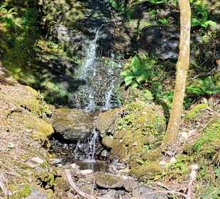 Connemara-Nationalpark