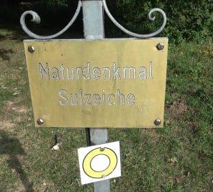 Naturdenkmal Sulzeiche Walddorf