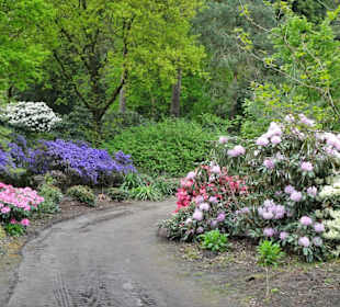 Impressionen aus dem Rhododendronpark Gristede