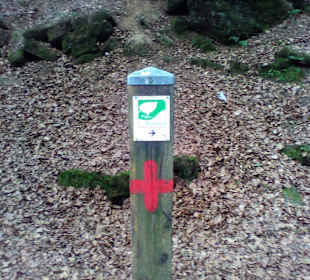 Pfälzer Waldpfad in Kaiserslautern