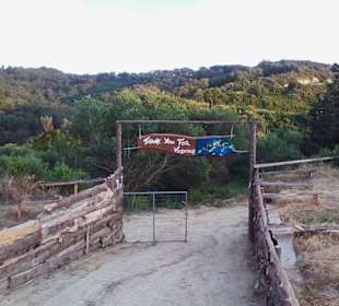 Entraceof Thematic Park