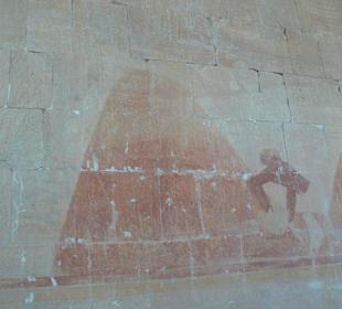 Ein wunderbarer Tag in Luxor