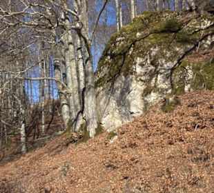 Naturerlebnispfad Meidelstetten