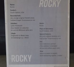 Dinosaurier Museum Altmühltal