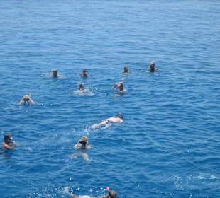 Ausflug "Inselträume" - Schnorcheln