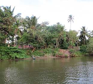 Flussfahrt direkt vor dem Club Hotel Dolphin mit Haralds Boo
