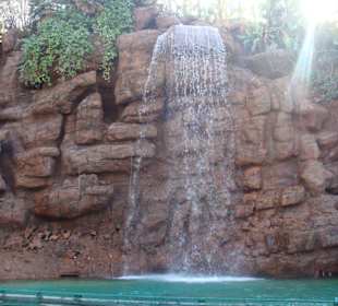 Universal Studio - jedna z atrakcji 