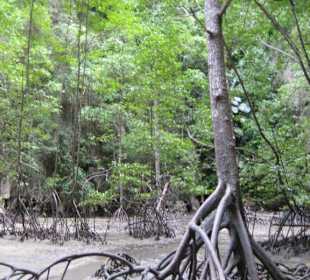 Phang-Nga