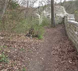 Wanderung rund um das Rusenschloss Gerhausen
