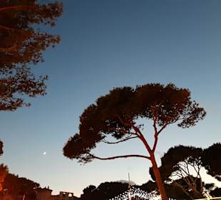 Wandern Cala Ratjada