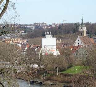Rosensteinpark Übergang zu Schlossgarten