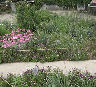 FIFA World Football Museum