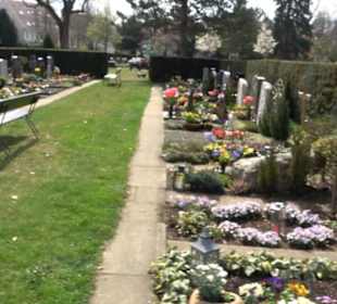Alter Friedhof
