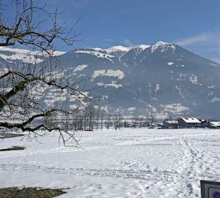 Natur pur