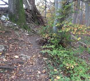 Wandern um die Rauber Ruine