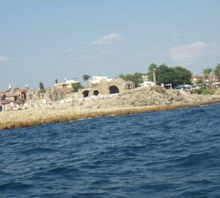 Ausflug mit Schnellboot zur Schildgröteninsel. 