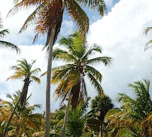 Am Strand Canto de la Playa