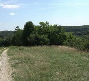 Wanderrunde Emeringen zum Rechtenstein