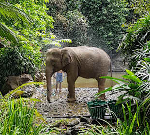 Khao Lak Land Discovery