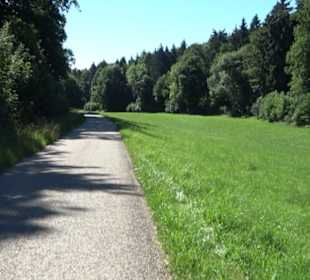 Waldameisen-LehrPfad