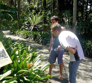 Royal Botanic Gardens