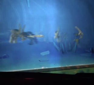 LEGO NINJAGO World - The Ride