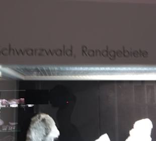 Museum für Mineralien und Mathematik