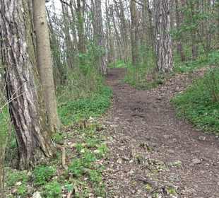 Wanderung rund um das Rusenschloss Gerhausen