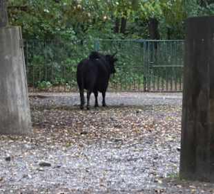 Tierpark 
