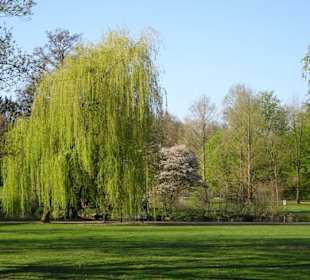 Impressionen vom Spaziergang durch den Kurpark