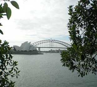 Oper vom Mrs. Macquarie's Chair