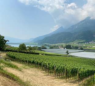 Wandern Appiano sulla Strada del Vino / Eppan an der Weinstr