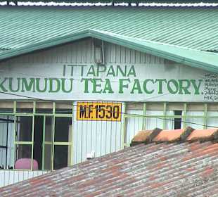 Nicht jede Teefabrik verkauft 