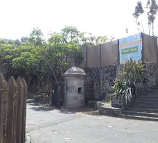 Parque Marítimo César Manrique in Santa Cruz