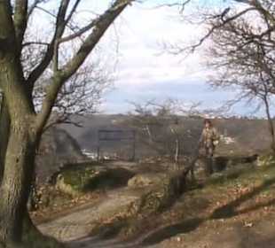 Loreley