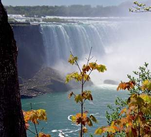 Horseshoe Fall
