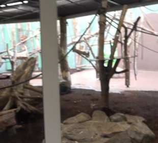 Tierpark Hellabrunn - Welt der Affen