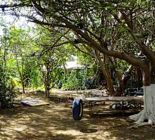 Rundgang durch die Idylle von Mimi´s Eco Farm