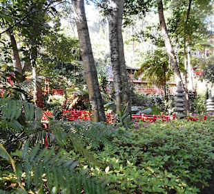 Monte Palace Tropical Garden