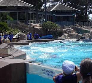 Sea World
