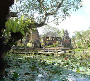 Lotus Café in Ubud