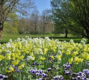 Blütenpracht im Georgengarten