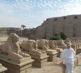 Luxor Deluxe Ausflug