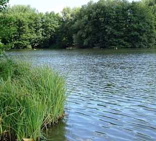 Impressionen vom Echternacher See