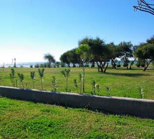 Aufgenommen am 29.11.2013